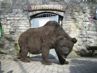 Zur Vergr&ouml;&szlig;erung hier klicken